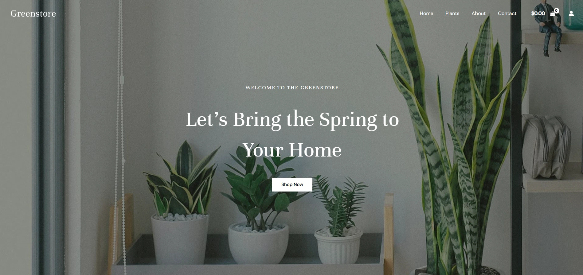 E-Commerce Pflanzen Shop